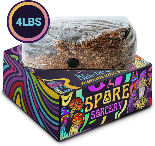 4 LB All-In-One Grow Kit: up to 64Oz of Mushrooms! Nutrient-Enhanced, Injection Port, Just Add Your Own Spores & Grow like Magic (4 LB Bag)