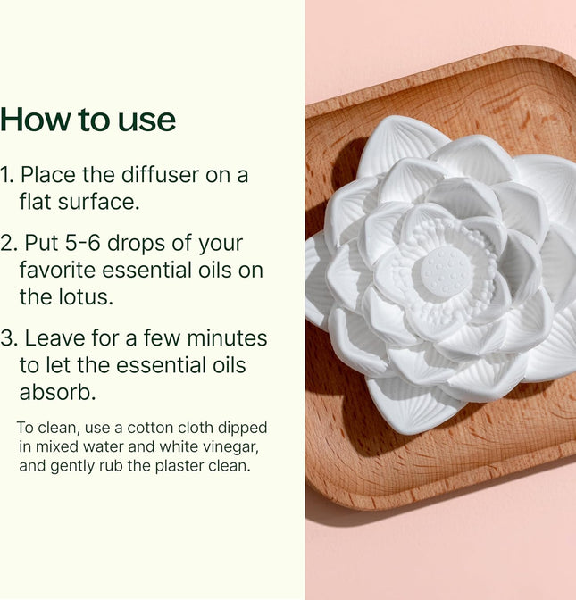 Plant Therapy Passive Lotus Flower Aromatherapy Diffuser - A Chic and Natural Home, Office, and Travel Essential Oil Dif