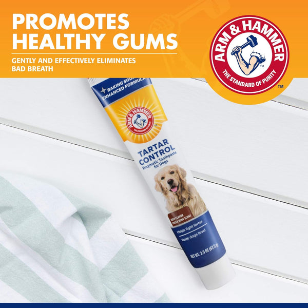 Arm & Hammer for Pets Tartar Control Enzymatic Toothpaste for Dogs Reduces Plaque & Tartar Buildup Safe for Puppies Beef Flavor, 2.5 Ounces Dog