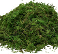 Usmola Fake Moss, Artificial Green Moss for Potted Plants Fairy Garden Accessories, 4OZ (Fresh Green)