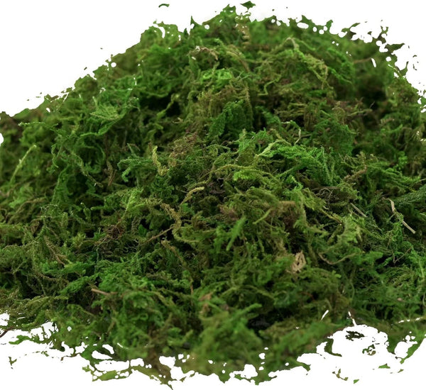 Usmola Fake Moss, Artificial Green Moss for Potted Plants Fairy Garden Accessories, 4OZ (Fresh Green)