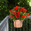 TQVAI 10 Inch Railing Planter - Fit for 1.5 to 3.5 Inches Railing - Adjustable Hanging Planters Outdoor Balcony Deck Flower Pot Holder Metal