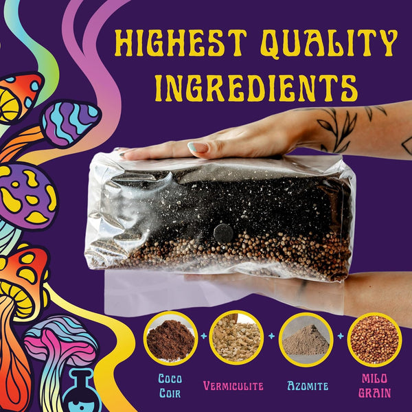 4 LB All-In-One Grow Kit: up to 64Oz of Mushrooms! Nutrient-Enhanced, Injection Port, Just Add Your Own Spores & Grow like Magic (4 LB Bag)