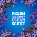 Pine-Sol Multi-Surface Cleaner, Cloroxpro, 2X Concentrated Formula, Lavender Clean, 80 Fl Oz