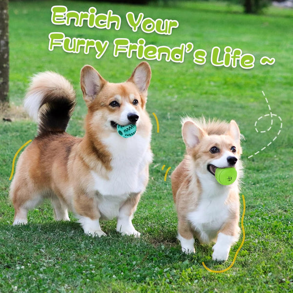 HIPPIH Dog Puzzle Toy 2 Pack, Interactive Dog Toys for Treat Dispensing, Durable Puppy Toys for Teething, Dog Treat Ball for Teeth/Slow Feeder/IQ