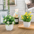 Der Rose 2 Pack Fake Plants Mini Artificial Faux Plants with Flowers for Home Office Table Room Farmhouse Decor Indoor