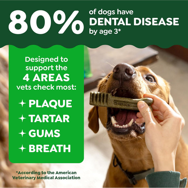 Greenies Original Regular Natural Dental Care Dog Treats, 12 Oz. Pouch (12 Treats)