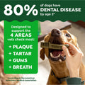 Greenies Original Petite Natural Dental Care Dog Treats, 6 Oz. Pouch (10 Treats)