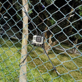 Cell Phone Fence Mount - Camera Backstop Chain Link Mount for Gopro Action Camera Small Digital Camera and Smartphones - Your Baseball - Softball