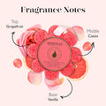 Spongelle Grapefruit Cassis Wild Flower Loofah Body Scrubber | Bath & Shower Loofah for Women | Body Scrubber Exfoliator with Body Wash Infused