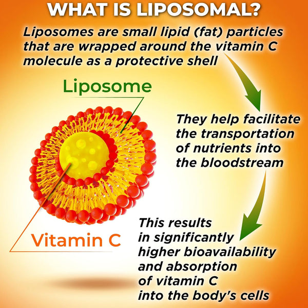 Liposomal Vitamin C Capsules - 1500Mg - Made with Organic Acerola Cherries & Camu Camu, High Potency Vitamin C Liposomal - Immune Support