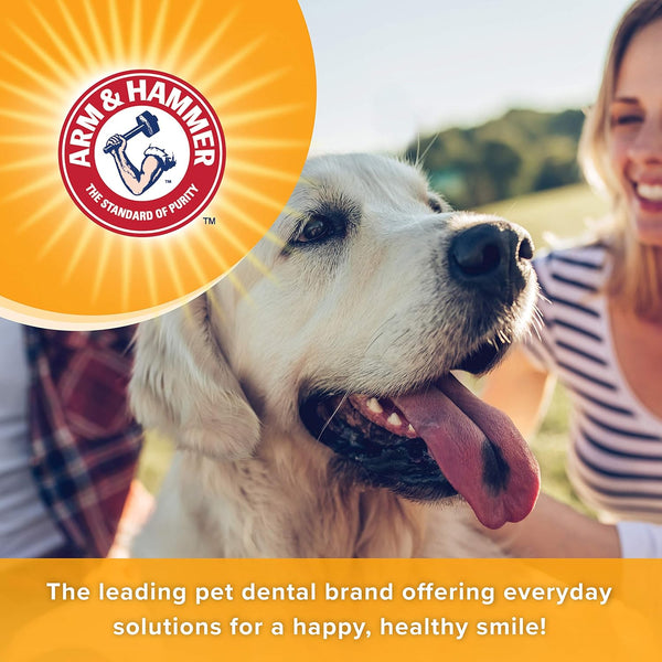 Arm & Hammer for Pets Tartar Control Enzymatic Toothpaste for Dogs Reduces Plaque & Tartar Buildup Safe for Puppies Beef Flavor, 2.5 Ounces Dog