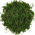 Usmola Fake Moss, Artificial Green Moss for Potted Plants Fairy Garden Accessories, 4OZ (Fresh Green)