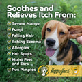 HAPPY JACK Mange Medicine & Treatment for Dogs & Horses - Brings Soothing Itch Relief to Severe Mange, Fungi, Allergies, Eczema & Most Dog Skin