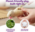 Smartykat Madcap Mania Refillable Plush Catnip Cat Toy, Includes Catnip Tube - Randomly Selected Color, One Size