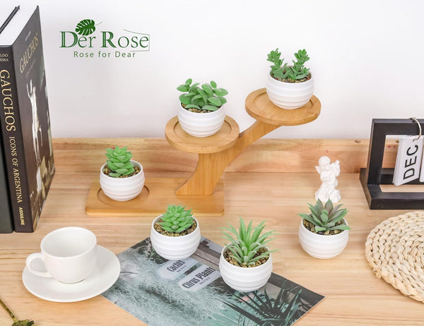 Der Rose Set of 6 Succulents Plants Artificial in Pots Small Fake Plants for Bedroom Aesthetic Living Room Office Shelf Bathroom Decor