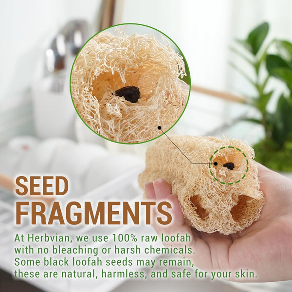 Natural Vietnamese Loofah Sponge, 100% Plant-Based Luffa Exfoliating Body Scrubber for Shower, Multi-Functional for Kitchen, Ideal for Men &