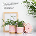 Gepege Pink Indoor Plant Pots for Plants, Ceramic Planter with Drainage Hole, 6.0 Inch+5.0 Inch+4.0 Inch. Succulent Orchid Flower Pot - Rainbow