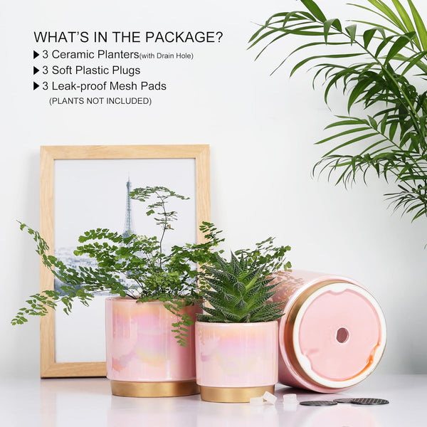Gepege Pink Indoor Plant Pots for Plants, Ceramic Planter with Drainage Hole, 6.0 Inch+5.0 Inch+4.0 Inch. Succulent Orchid Flower Pot - Rainbow