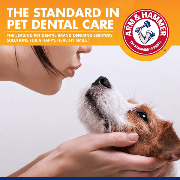 Arm & Hammer for Pets Tartar Control Enzymatic Toothpaste for Dogs Reduces Plaque & Tartar Buildup Safe for Puppies Beef Flavor, 2.5 Ounces Dog