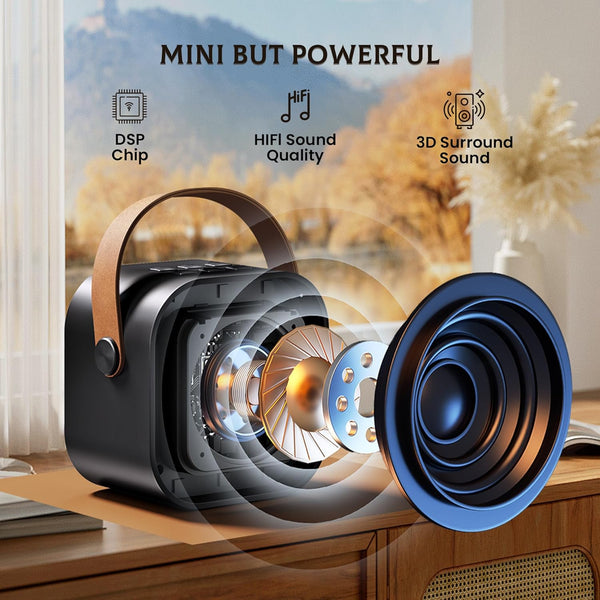 IROO Mini Karaoke Machine for Kids Adults(Karafun Premium), Portable MP3 Player with 2 Wireless Mics and Party Lights for Smartphones, Birthday