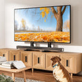 TAVR Universal Table Top TV Stand Base TV Legs for Most 22 32 37 40 42 47 50 55 65 LCD LED Plasma Flat Screen Tvs, Height Adjustable Leg TV