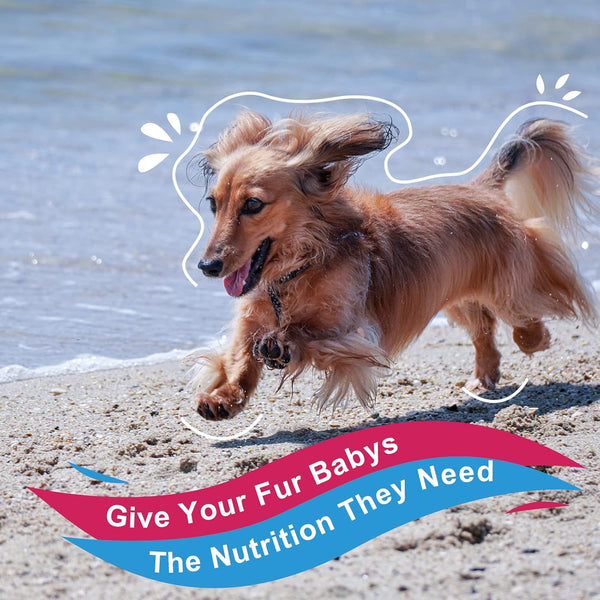NATURE TARGET Dog Vitamins Powder, Probiotics & Digestive Enzymes for Gut Health, Glucosamine & Chondroitin & Omega 3, Complete Supplement for