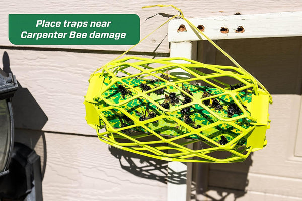 Rescue! Carpenter Bee Trapstik â Also Works on Wasps, Mud Daubers - 2 Traps