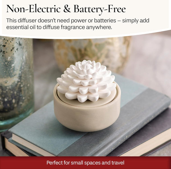 AiromÃ© White Succulent, Porcelain Passive Essential Oil Diffuser (With 15Ml Peppermint Essential Oil) â Non-Electric, Battery-Free, Improves
