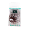 Earth Therapeutics Pumice Stone with Brush, 1 EA