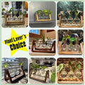 XXXFLOWER Plant Terrarium with Wooden Stand, Air Planter Bulb Glass Vase Metal Swivel Holder Retro Tabletop for Hydroponics Home Garden Office