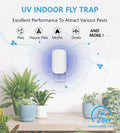 Flying Insect Trap for Indoors, Bug Killer Light Trap for Fruit Flies, Gnats, Moths, and Houseflies, 1 Device + 4 Refills, Best Fly Traps for