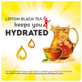 Lipton Family Sized Iced Tea Bags 48 Ct.