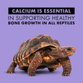 Zilla Calcium Supplement Spray 8 Oz.