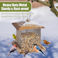 Bird Feeder, Heavy Duty Metal Bird Feeders for Outdoor Hanging, 3.5LB Large Capacity Wild Birdfeeder for Garden Yard outside Backyard