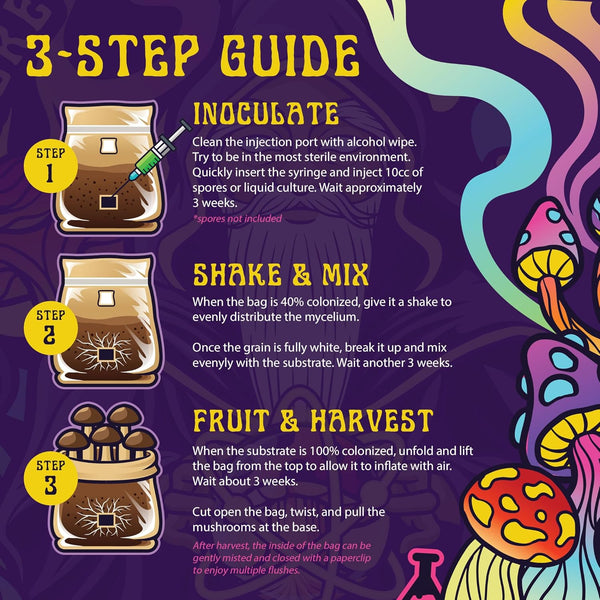 4 LB All-In-One Grow Kit: up to 64Oz of Mushrooms! Nutrient-Enhanced, Injection Port, Just Add Your Own Spores & Grow like Magic (4 LB Bag)
