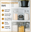 Dr. Killigan'S Premium Double Potent Pantry Moth Traps with Pheromones Prime, Sticky Indian Meal Moth Traps for Kitchen, How to Get Rid of Moths