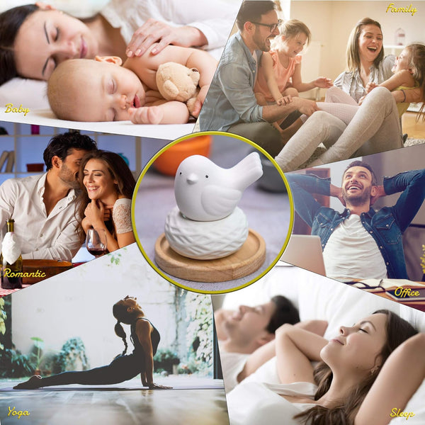 Little Bird Nest, Non-Electric Ceramic Diffusers for Essential Oils and Aromatherapy Fragrance, White Ceramic Diffusers in Car or Bathroom and