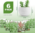 Der Rose Set of 6 Succulents Plants Artificial in Pots Small Fake Plants for Bedroom Aesthetic Living Room Office Shelf Bathroom Decor