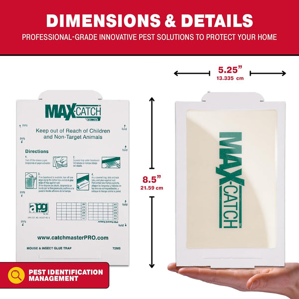 Catchmaster Max-Catch Mouse & Insect Glue Trap 36Pk, Mouse Traps Indoor for Home, Sticky Pest Control Adhesive Tray for Catching Bugs, Non Toxic
