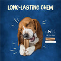 Purina Busy Bone Made in USA Facilities, Long Lasting Small/Medium Breed Adult Dog Chews, Peanut Butter Flavor - (Pack of 4) 6 Ct. Pouches