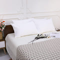 NTBAY 4 Pack Zippered Waterproof Queen Pillow Protectors, Super Soft Quiet Zip Pillow Protectors, 20x30 Inches Jersey Pure White Waterproof Pillow