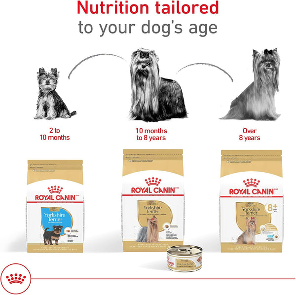 Royal Canin Yorkshire Terrier Adult Breed Specific Wet Dog Food, 3 Oz Can (4-Pack)