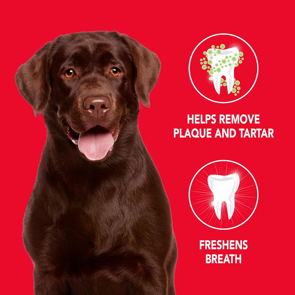 Petrodex Toothpaste for Dogs and Puppies, Cleans Teeth and Fights Bad Breath, Reduces Plaque and Tartar Formation, Enzymatic Toothpaste, Poultry