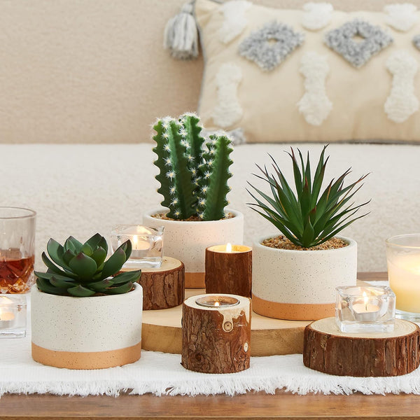 Artificial Succulent Plants in Ceramic Pots, Faux Assorted Succulents Fake Cactus Plants for Home Decor, Bedroom, Office, Desk, Living Room, Set