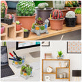 LESES Turtle Succulent Pot Planters for Indoor Plants with Drainage Hole, Flower Garden Cute Pots for Plants, Succulent, Cactus Home Office Desk