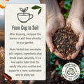 Numi Organic Rooibos Chai Tea, 18 Tea Bags, Red Tea with Cinnamon, Allspice & Ginger, Caffeine Free (Packaging May Vary)