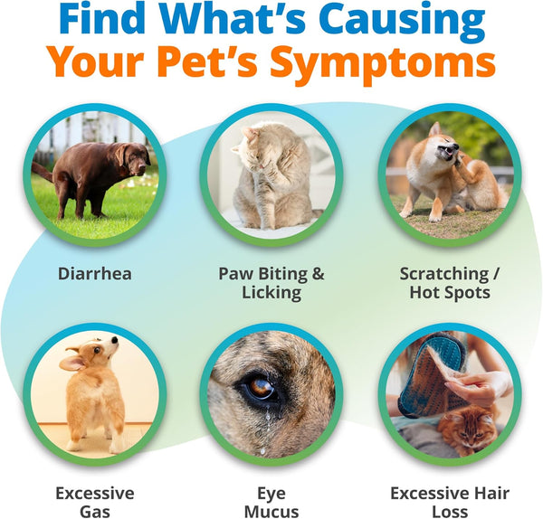 5Strands Pet Food Intolerance Test, at Home Sensitivity Test for Dogs & Cats, 270 Items, Hair Analysis, Accurate for All Ages & Breeds, Pet Gut