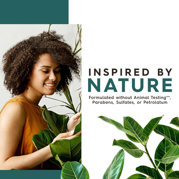 JASON Tea Tree Purifying Body Wash, for a Gentle Feeling Clean, 30 Fluid Ounces