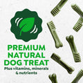 Greenies Original Regular Natural Dental Care Dog Treats, 12 Oz. Pouch (12 Treats)